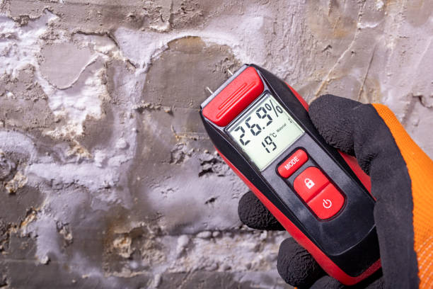 Best Commercial Mold Removal  in Perkins, OK