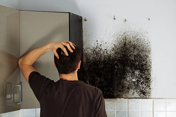 Best Mold Testing  in Perkins, OK
